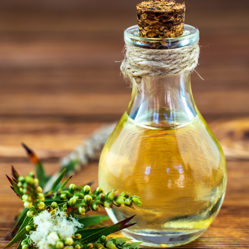 Olejek z drzewa herbacianego