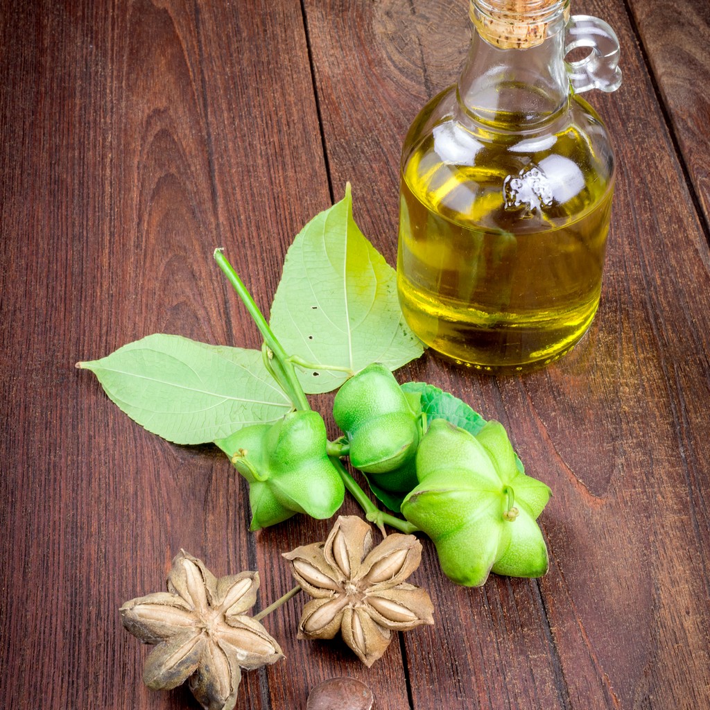 Sacha Inchi oil